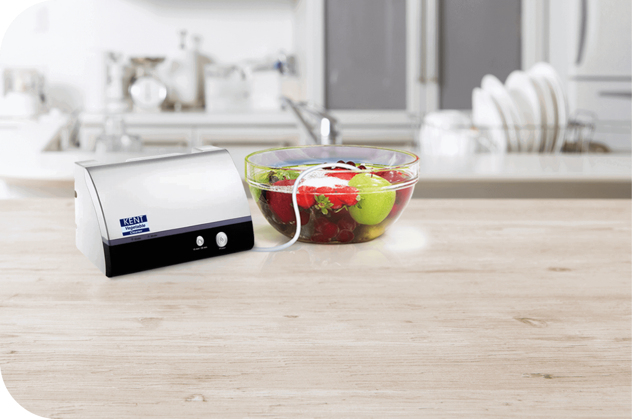 Counter Top Vegetable and Fruit Purifier